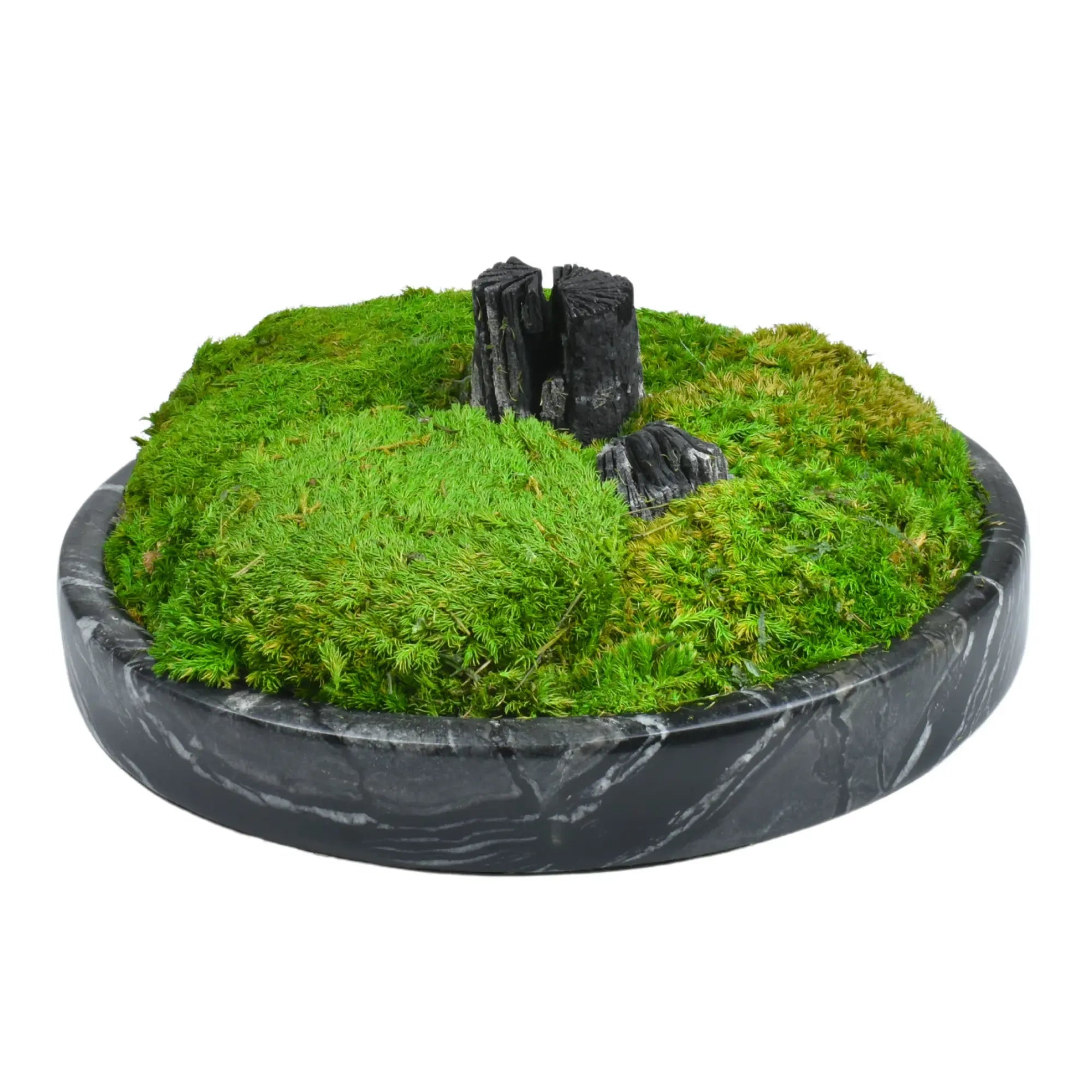 Moosdekoration - in Marmorschale - Runde Moos-Dekoschale mit Holzelement Terra Lux