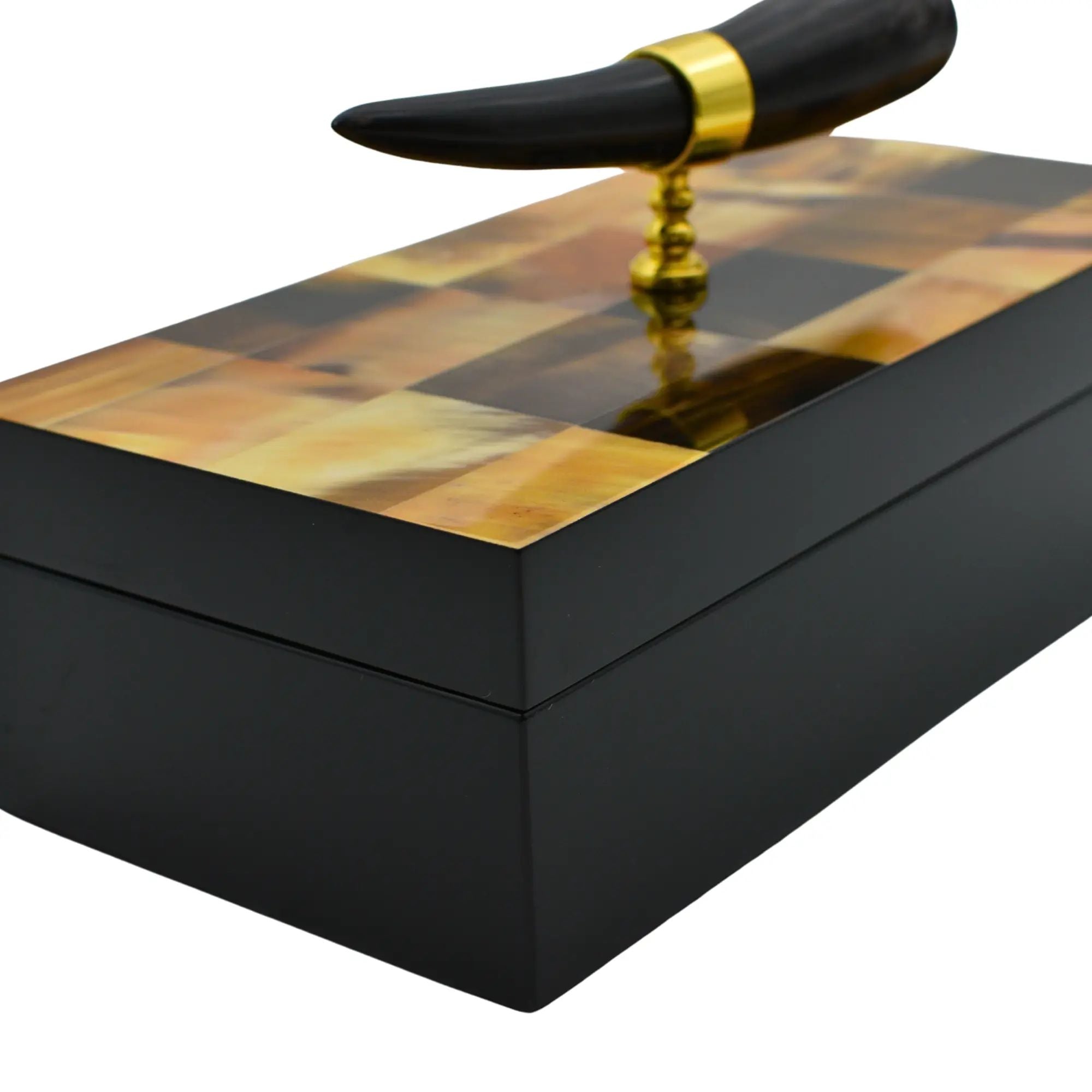 Holzschatulle - rechteckig mit Deckel - Design Aufbewahrungsbox Horn-Deko Schmuckkasten Evidenza Default Title