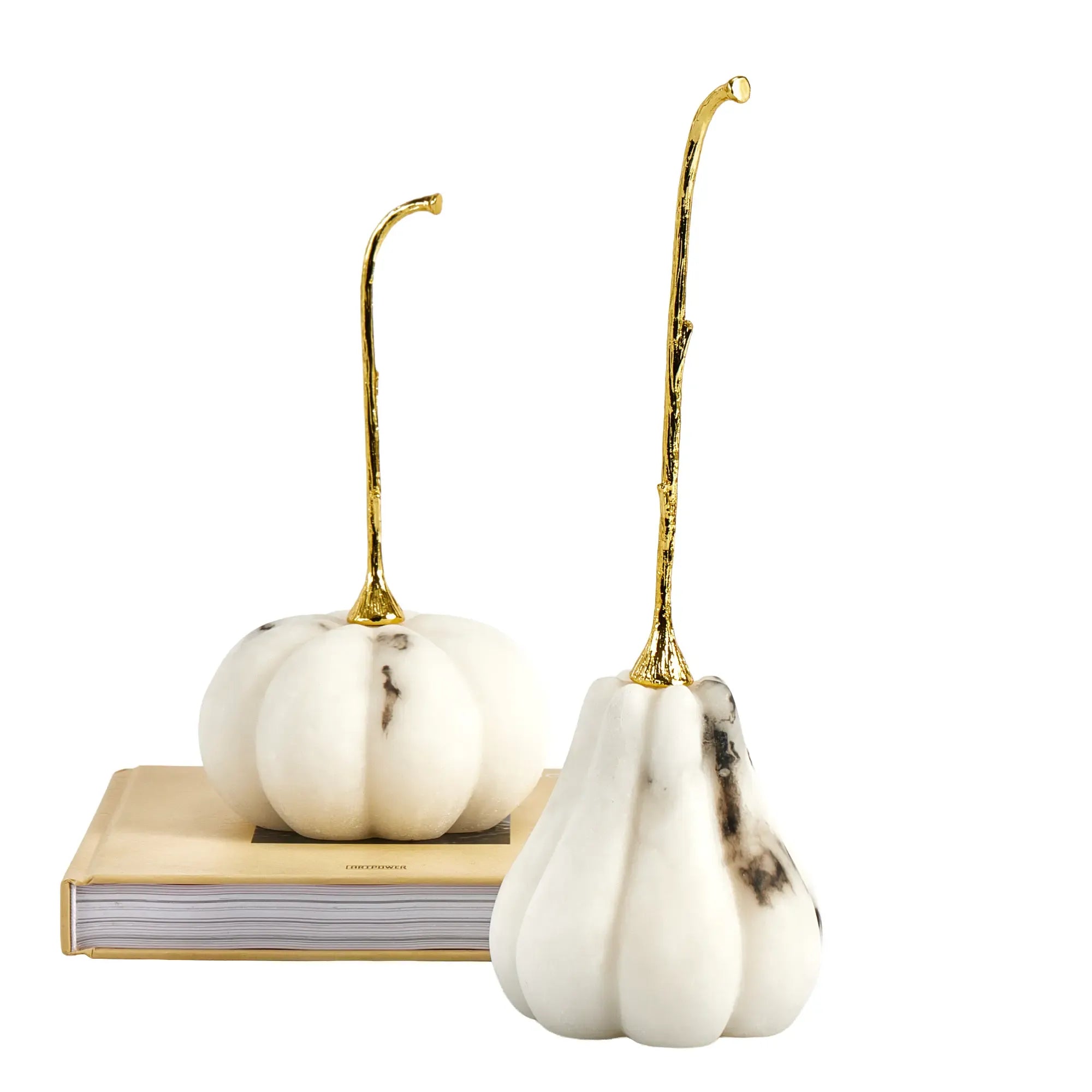 dummy-541-FYH0025 Kürbis-Breit