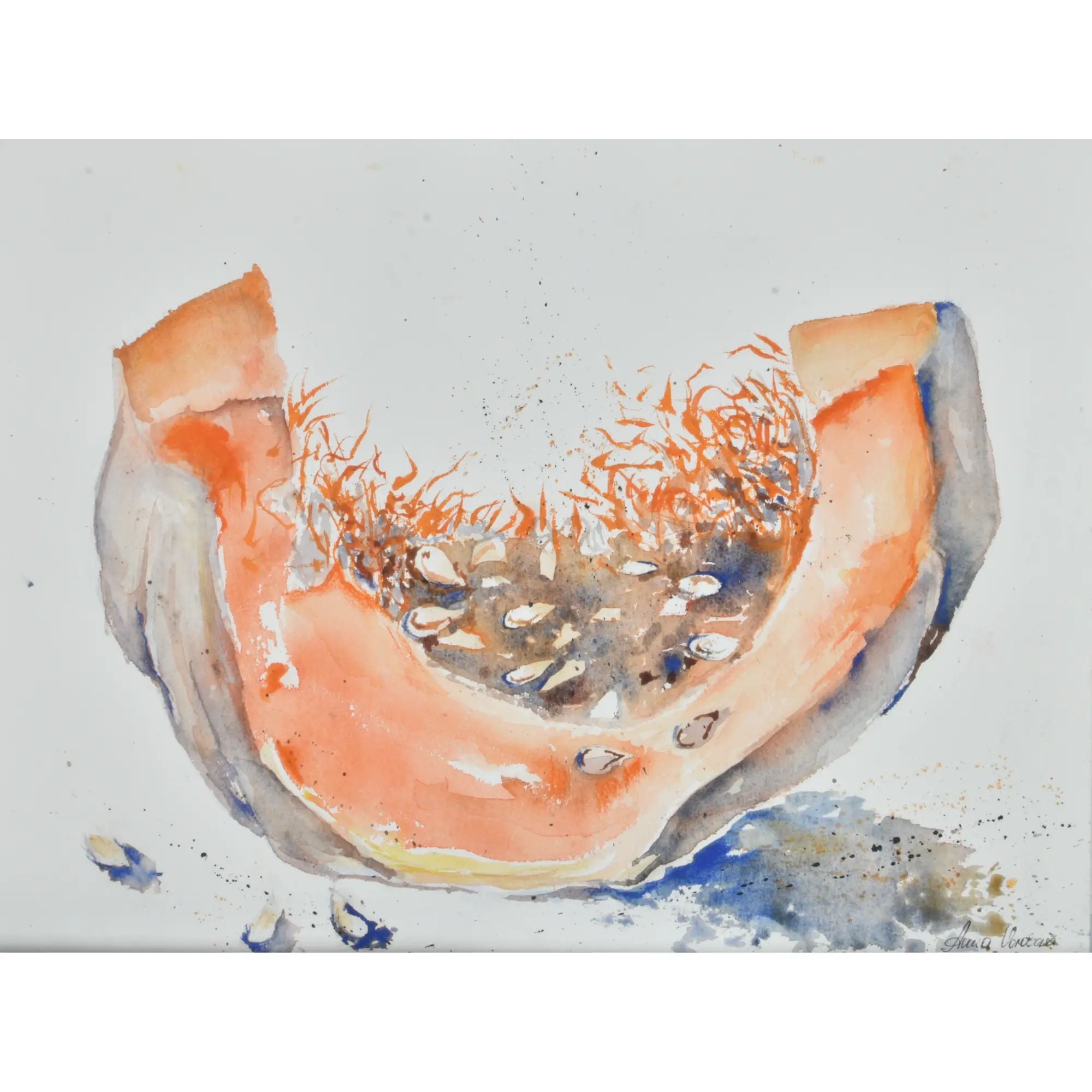 Großes Aquarellbild - Original-Gemälde Naturstudie Cucurbita Éternelle small