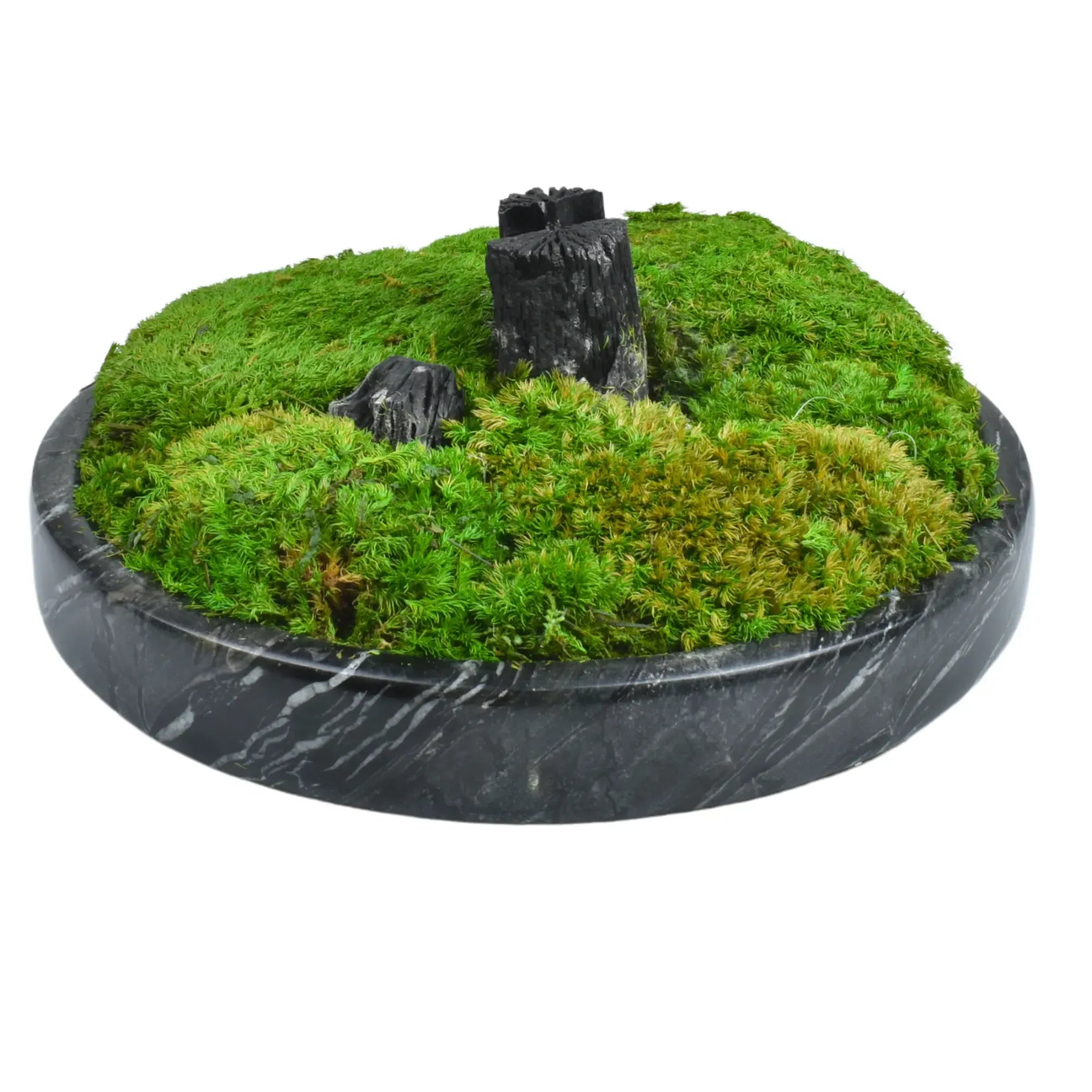 Moosdekoration - in Marmorschale - Runde Moos-Dekoschale mit Holzelement Terra Lux