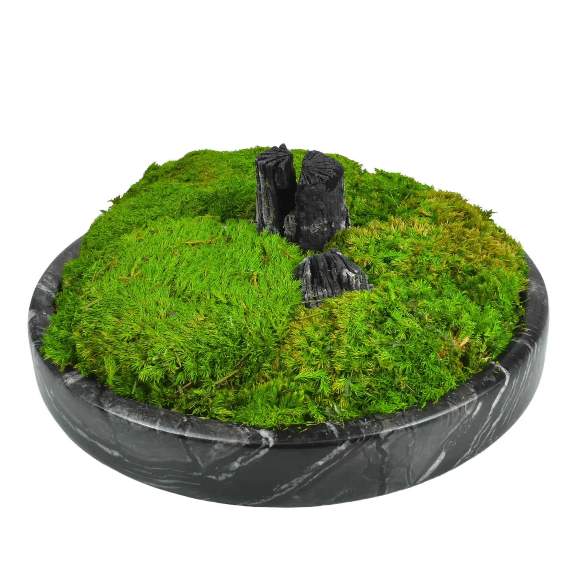 Moosdekoration - in Marmorschale - Runde Moos-Dekoschale mit Holzelement Terra Lux